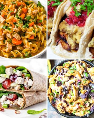 featured image for this collection of recipes.