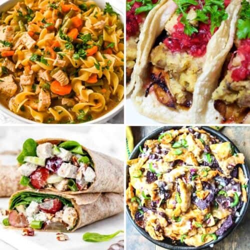 featured image for this collection of recipes.